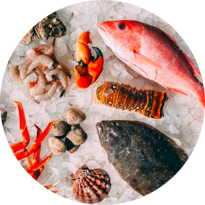 Picture of various seafoods and fish on ice